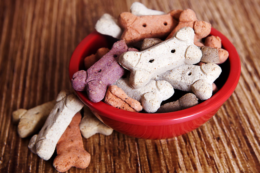 Common Symptoms and Triggers of Food Allergies in Dogs